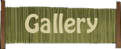 Gallery Button